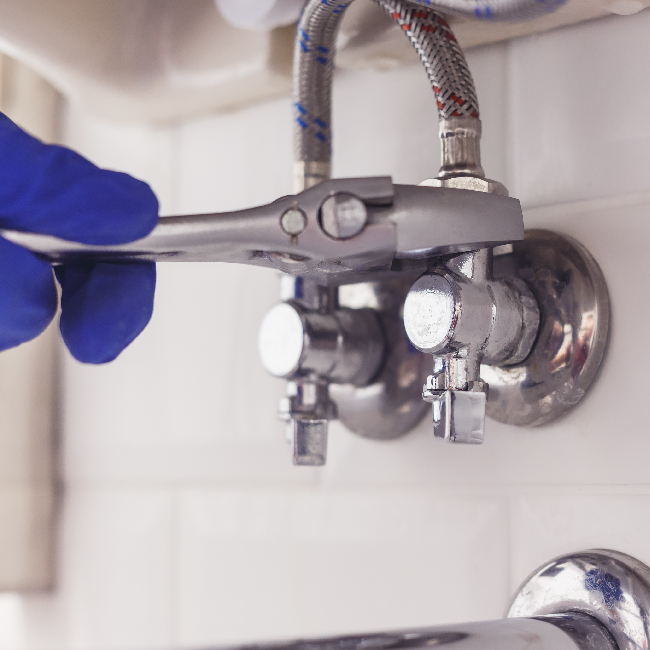 Professional Plumbing Maintenance