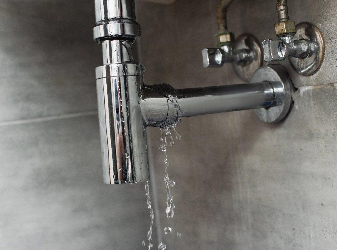 Professional Plumbing Maintenance